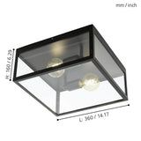 2 Bulb Steel Ceiling Light With Black Clear Glass