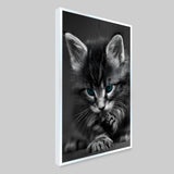 Beautiful Blue Eyed Baby Cat Home Office Decorative Canvas Wall Paintings