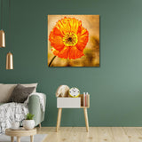 Exotic Blooms Unique Flower Paintings