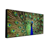 Dancing Peacock Cheerful Canvas Wall Painting