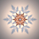 Magical Cotyledons Ceiling Shadow Light