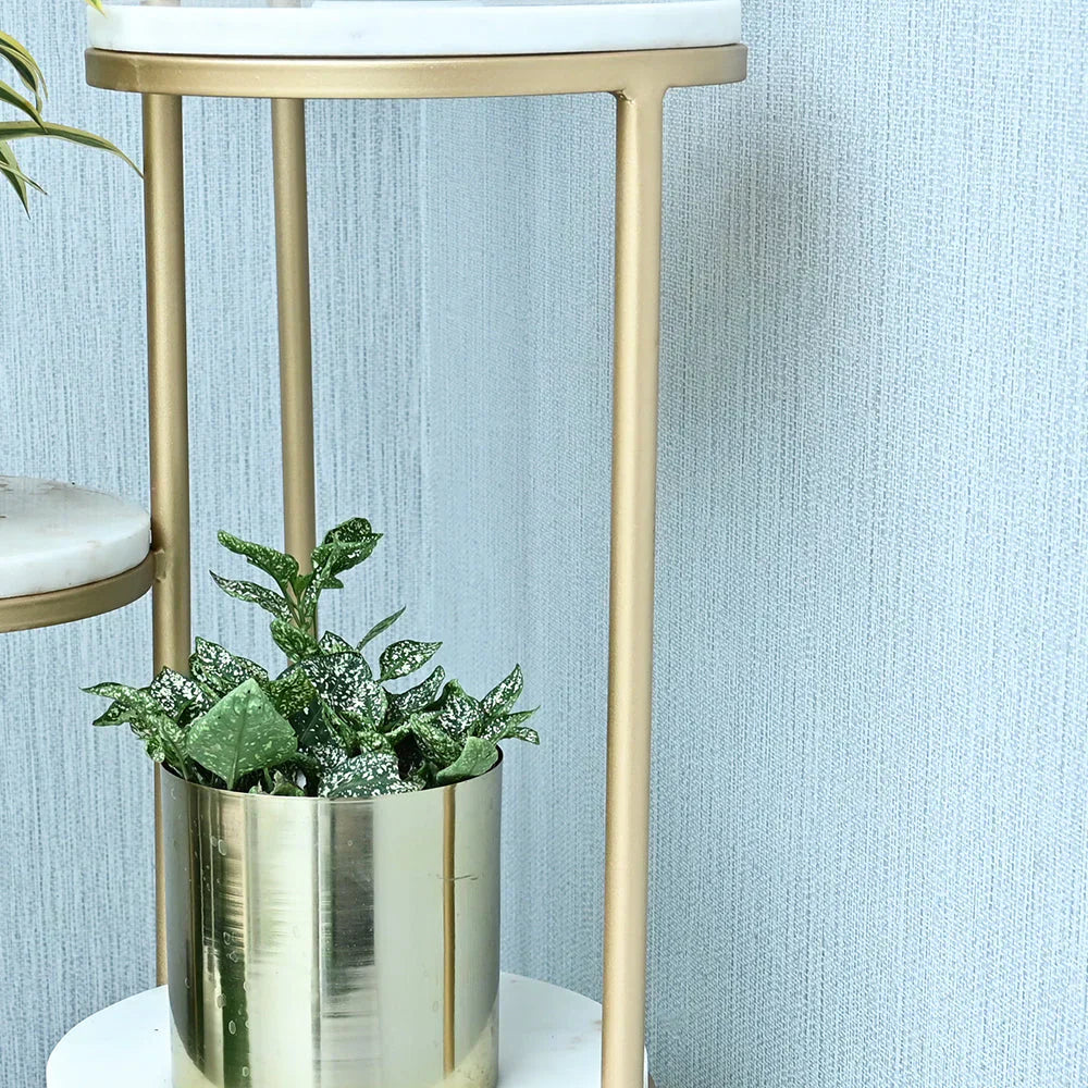 Beautiful Premium Looking Sturdy Metal Planter Stand With White Round Marble At Top - 4 Tier