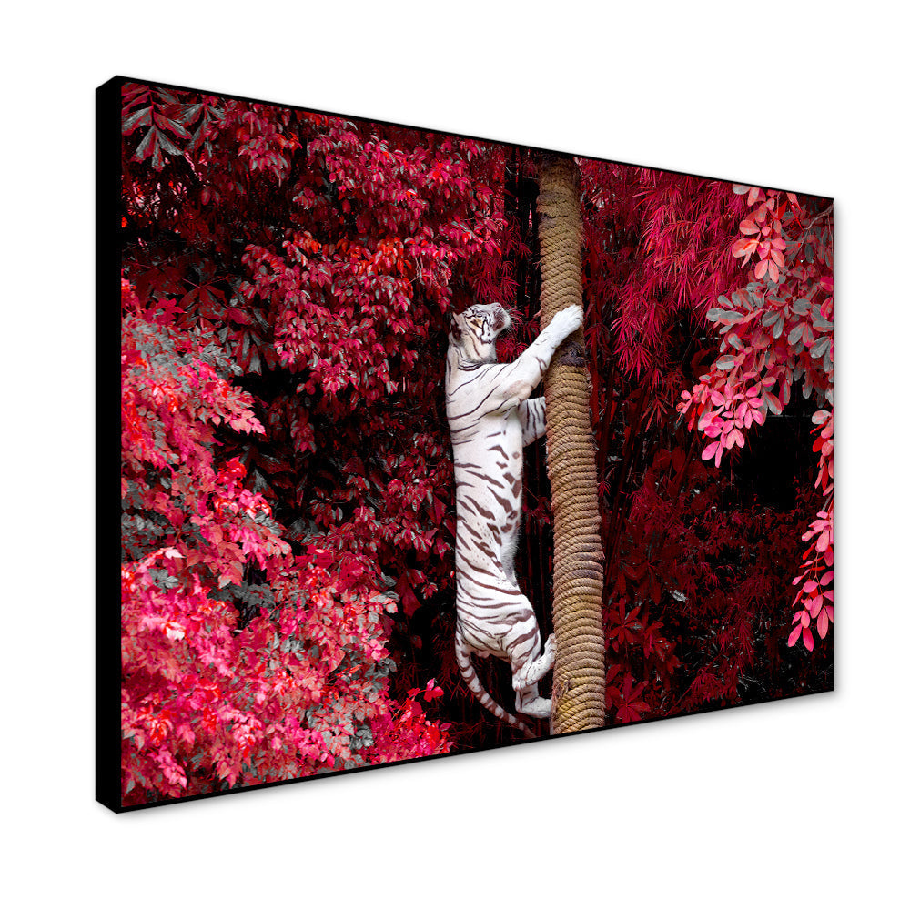 Beautiful White Tiger Realistic Wild Animal Painting