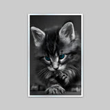 Beautiful Blue Eyed Baby Cat Home Office Decorative Canvas  Wall Paintings