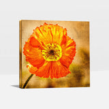 Exotic Blooms Unique Flower Paintings