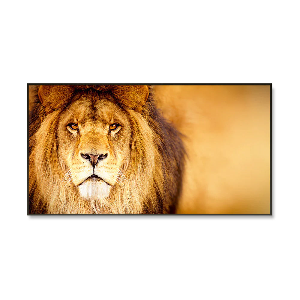 Life-Like African Male Lion Wall Portrait / Wildlife Painting